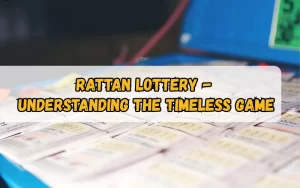 Bhagyashree Lottery official site for online results and latest draws – bhagyashreelottery.in