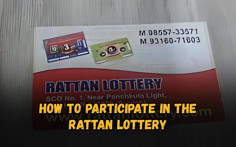 Bhagyashree Lottery official site for online results and latest draws – bhagyashreelottery.in