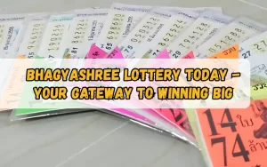 Bhagyashree Lottery official site for online results and latest draws – bhagyashreelottery.in