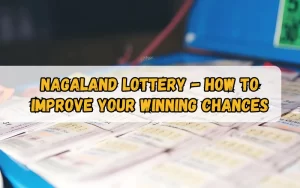 Bhagyashree Lottery official site for online results and latest draws – bhagyashreelottery.in