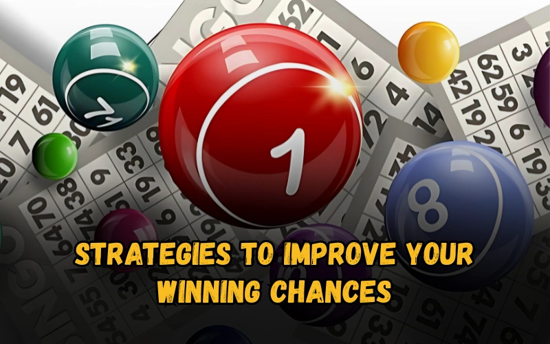 Bhagyashree Lottery official site for online results and latest draws – bhagyashreelottery.in