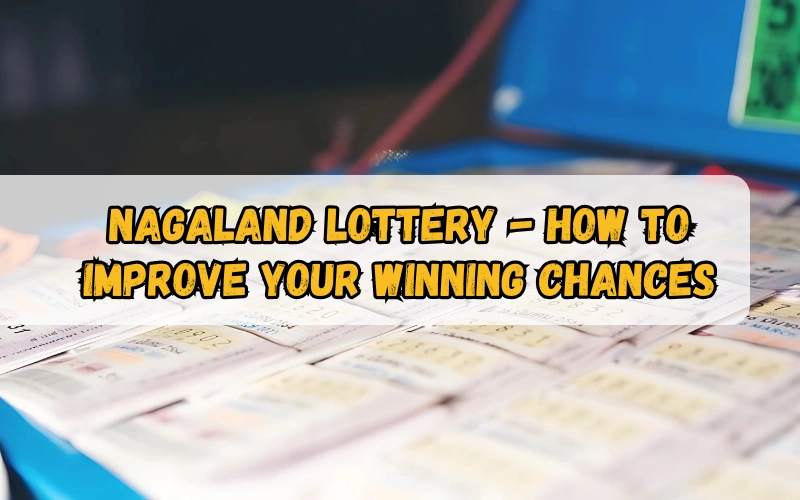 Bhagyashree Lottery official site for online results and latest draws – bhagyashreelottery.in