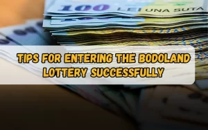 Bhagyashree Lottery official site for online results and latest draws – bhagyashreelottery.in