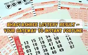 Bhagyashree Lottery official site for online results and latest draws – bhagyashreelottery.in