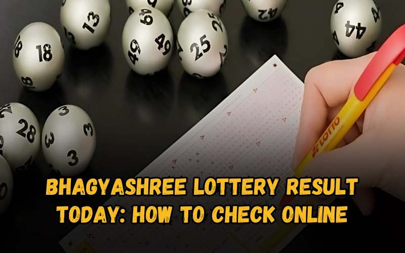 Bhagyashree Lottery official site for online results and latest draws – bhagyashreelottery.in