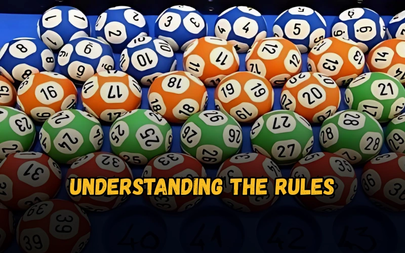 Bhagyashree Lottery official site for online results and latest draws – bhagyashreelottery.in