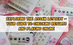 Bhagyashree Lottery official site for online results and latest draws – bhagyashreelottery.in
