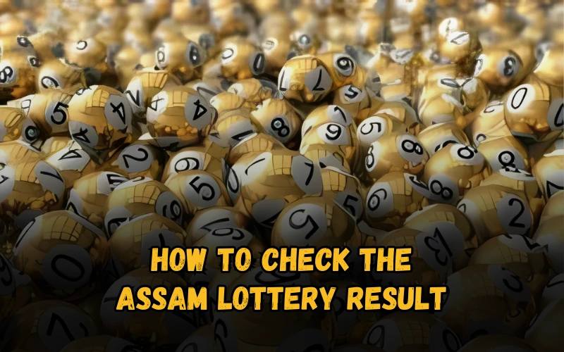 Bhagyashree Lottery official site for online results and latest draws – bhagyashreelottery.in