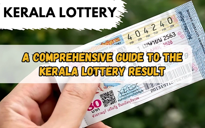 Bhagyashree Lottery official site for online results and latest draws – bhagyashreelottery.in