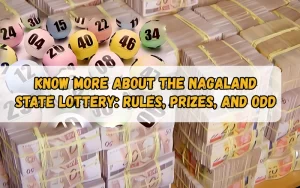 Bhagyashree Lottery official site for online results and latest draws – bhagyashreelottery.in