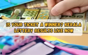 Bhagyashree Lottery official site for online results and latest draws – bhagyashreelottery.in