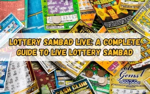 Bhagyashree Lottery official site for online results and latest draws – bhagyashreelottery.in
