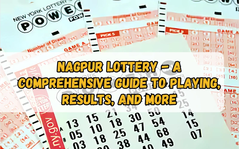 Bhagyashree Lottery official site for online results and latest draws – bhagyashreelottery.in