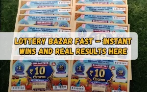 Bhagyashree Lottery official site for online results and latest draws – bhagyashreelottery.in
