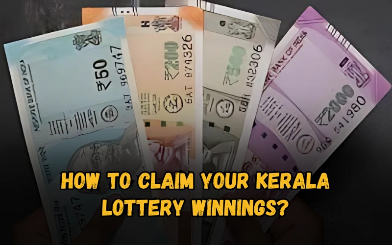 Bhagyashree Lottery official site for online results and latest draws – bhagyashreelottery.in