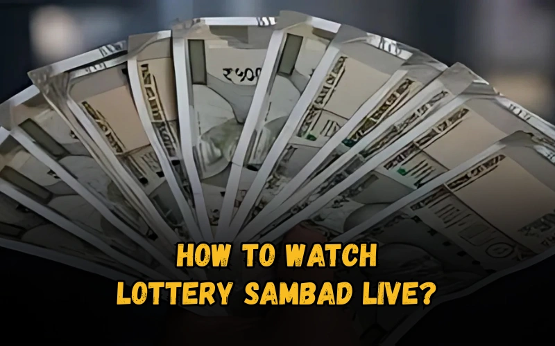 Bhagyashree Lottery official site for online results and latest draws – bhagyashreelottery.in