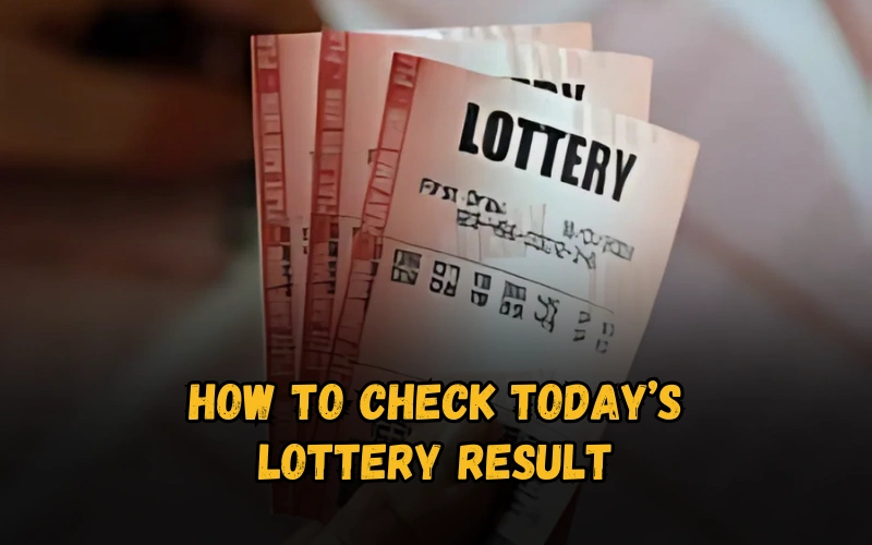 Bhagyashree Lottery official site for online results and latest draws – bhagyashreelottery.in