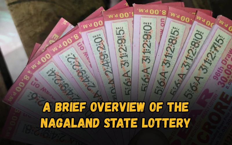 Bhagyashree Lottery official site for online results and latest draws – bhagyashreelottery.in