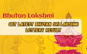 Bhagyashree Lottery official site for online results and latest draws – bhagyashreelottery.in