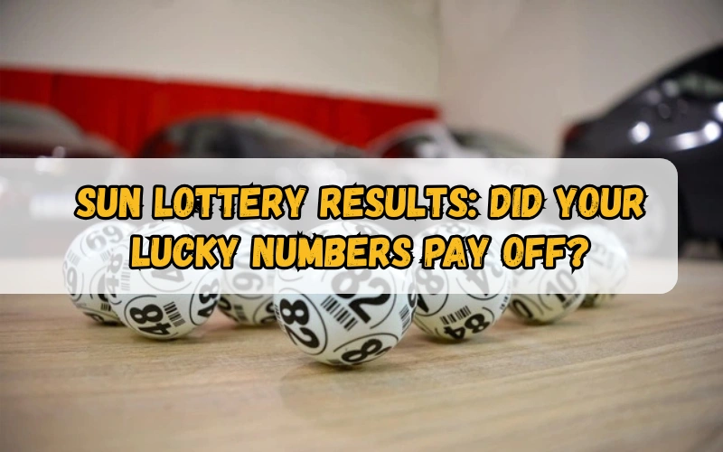 Bhagyashree Lottery official site for online results and latest draws – bhagyashreelottery.in