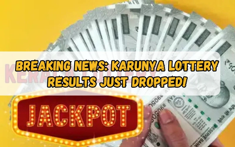 Bhagyashree Lottery official site for online results and latest draws – bhagyashreelottery.in