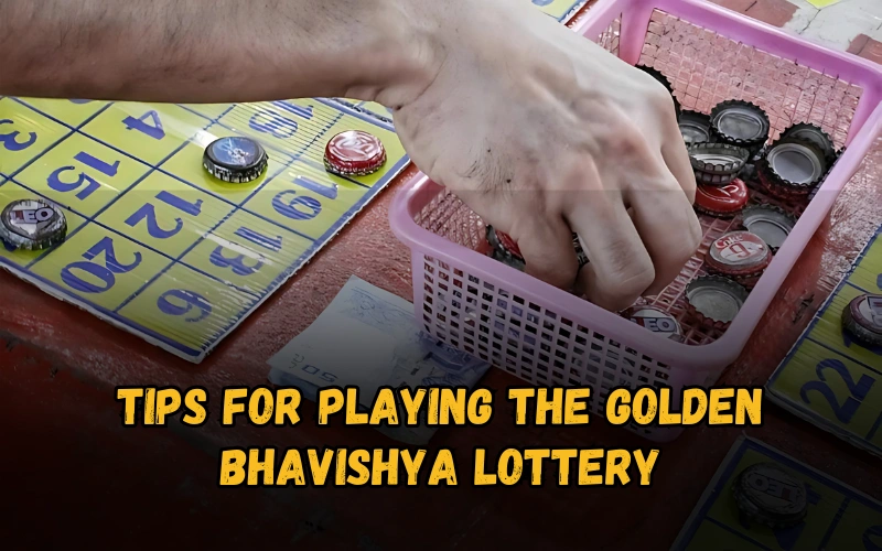 Bhagyashree Lottery official site for online results and latest draws – bhagyashreelottery.in