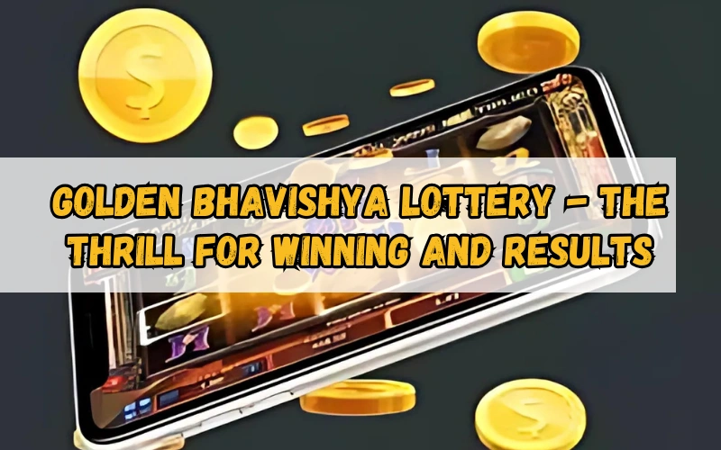 Bhagyashree Lottery official site for online results and latest draws – bhagyashreelottery.in