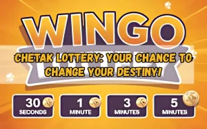 Bhagyashree Lottery official site for online results and latest draws – bhagyashreelottery.in