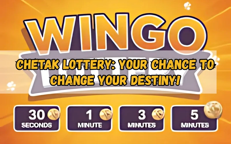 Bhagyashree Lottery official site for online results and latest draws – bhagyashreelottery.in