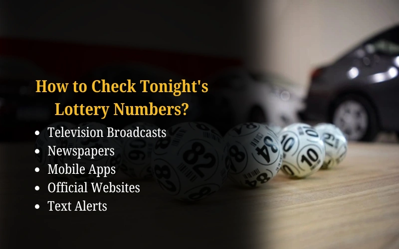 Bhagyashree Lottery official site for online results and latest draws – bhagyashreelottery.in