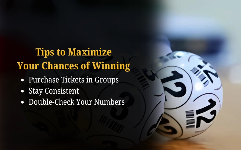 Bhagyashree Lottery official site for online results and latest draws – bhagyashreelottery.in