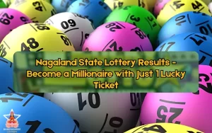 Bhagyashree Lottery official site for online results and latest draws – bhagyashreelottery.in