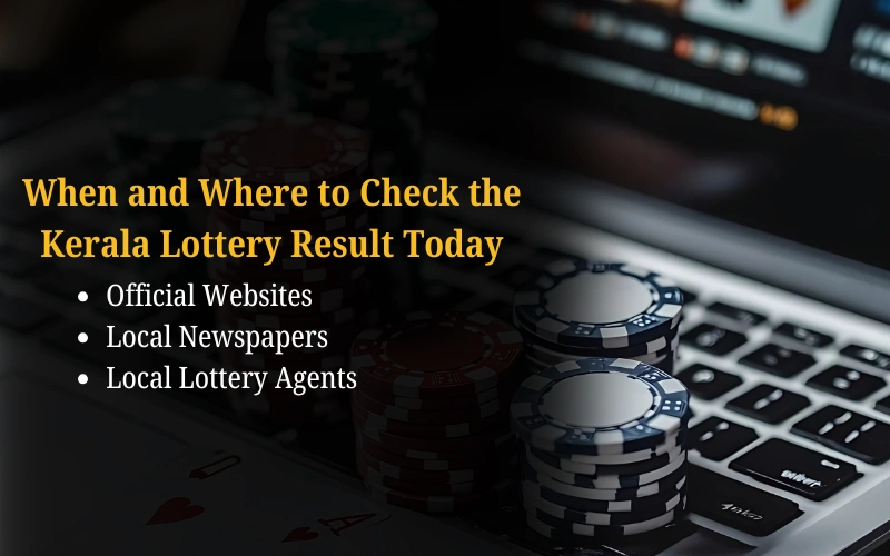 Bhagyashree Lottery official site for online results and latest draws – bhagyashreelottery.in