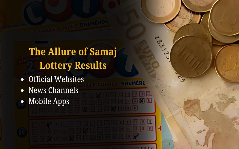 Bhagyashree Lottery official site for online results and latest draws – bhagyashreelottery.in