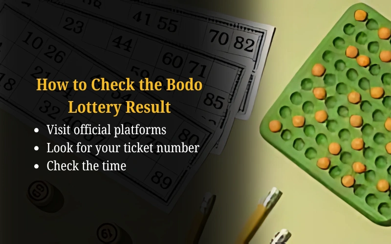 Bhagyashree Lottery official site for online results and latest draws – bhagyashreelottery.in