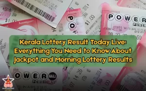 Bhagyashree Lottery official site for online results and latest draws – bhagyashreelottery.in