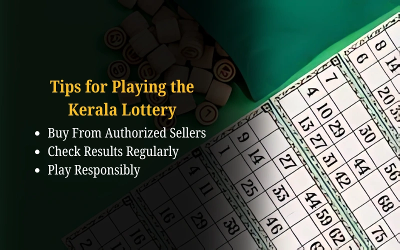 Bhagyashree Lottery official site for online results and latest draws – bhagyashreelottery.in