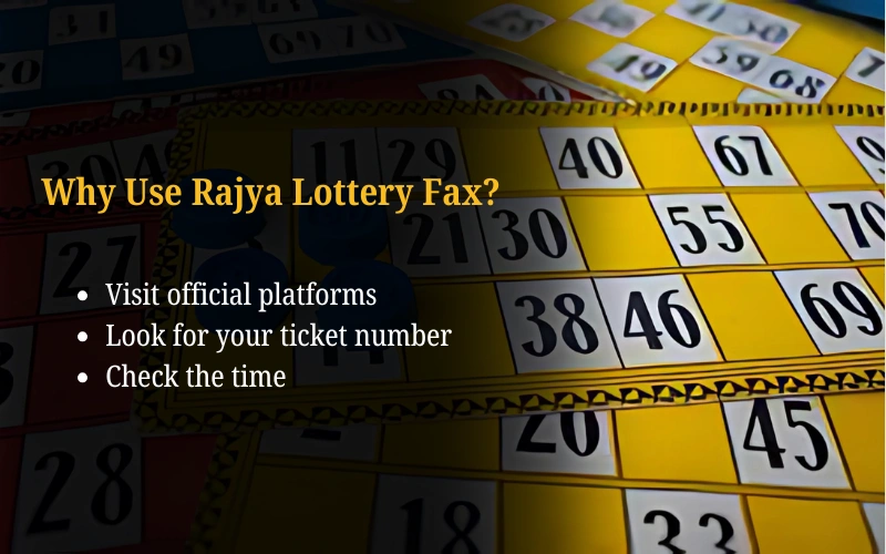 Bhagyashree Lottery official site for online results and latest draws – bhagyashreelottery.in