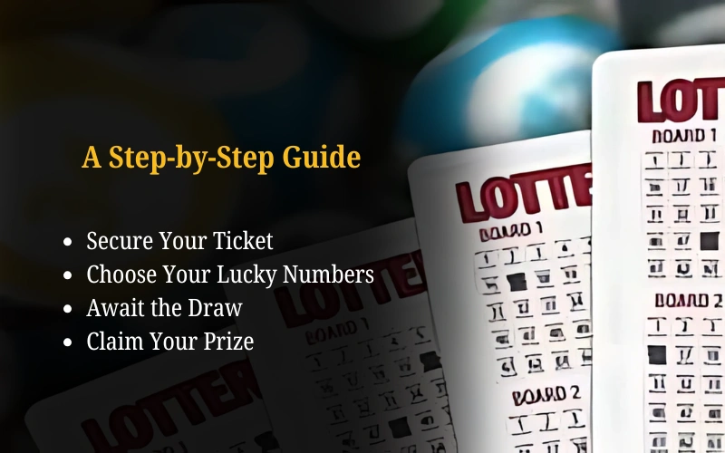 Bhagyashree Lottery official site for online results and latest draws – bhagyashreelottery.in
