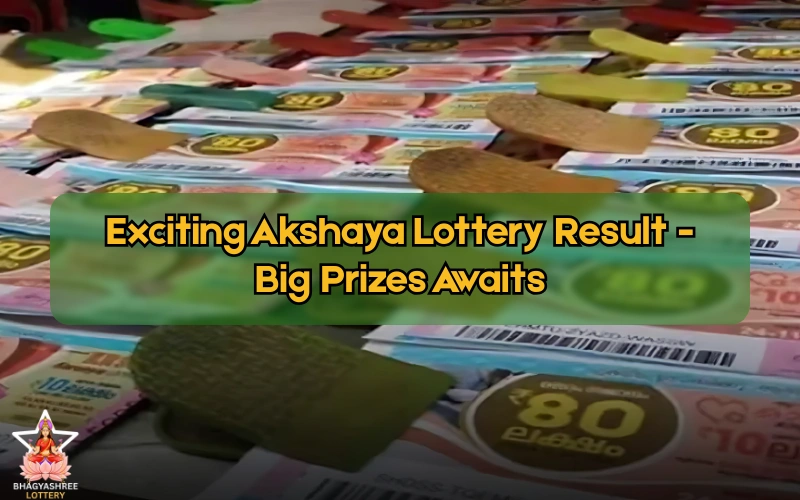 Bhagyashree Lottery official site for online results and latest draws – bhagyashreelottery.in